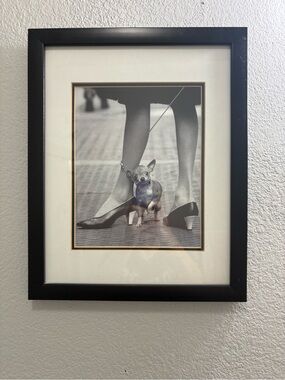 Chihuahua and Pappagallo Shoes Photographed: Yale Joel 1961, New York City, NY